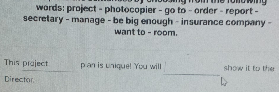 om the ronowing 
words: project - photocopier - go to - order - report - 
secretary - manage - be big enough - insurance company - 
want to - room. 
_ 
This project plan is unique! You will show it to the 
Director.