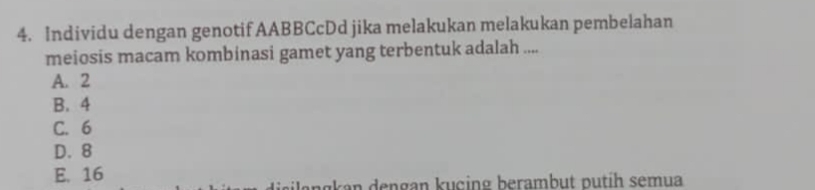 Individu dengan genotif AABBCcDd jika melakukan melakukan pembelahan
meiosis macam kombinasi gamet yang terbentuk adalah ....
A. 2
B. 4
C. 6
D. 8
E. 16
an an u c ing berambut p u tih semua