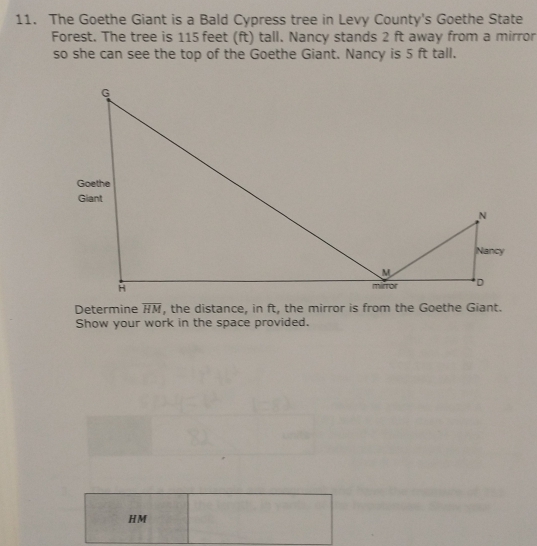 The Goethe Giant is a Bald Cypress tree in Levy County's Goethe State 
Forest. The tree is 115 feet (ft) tall. Nancy stands 2 ft away from a mirror 
so she can see the top of the Goethe Giant. Nancy is 5 ft tall. 
Determine overline HM
Show your work in the space provided.
HM