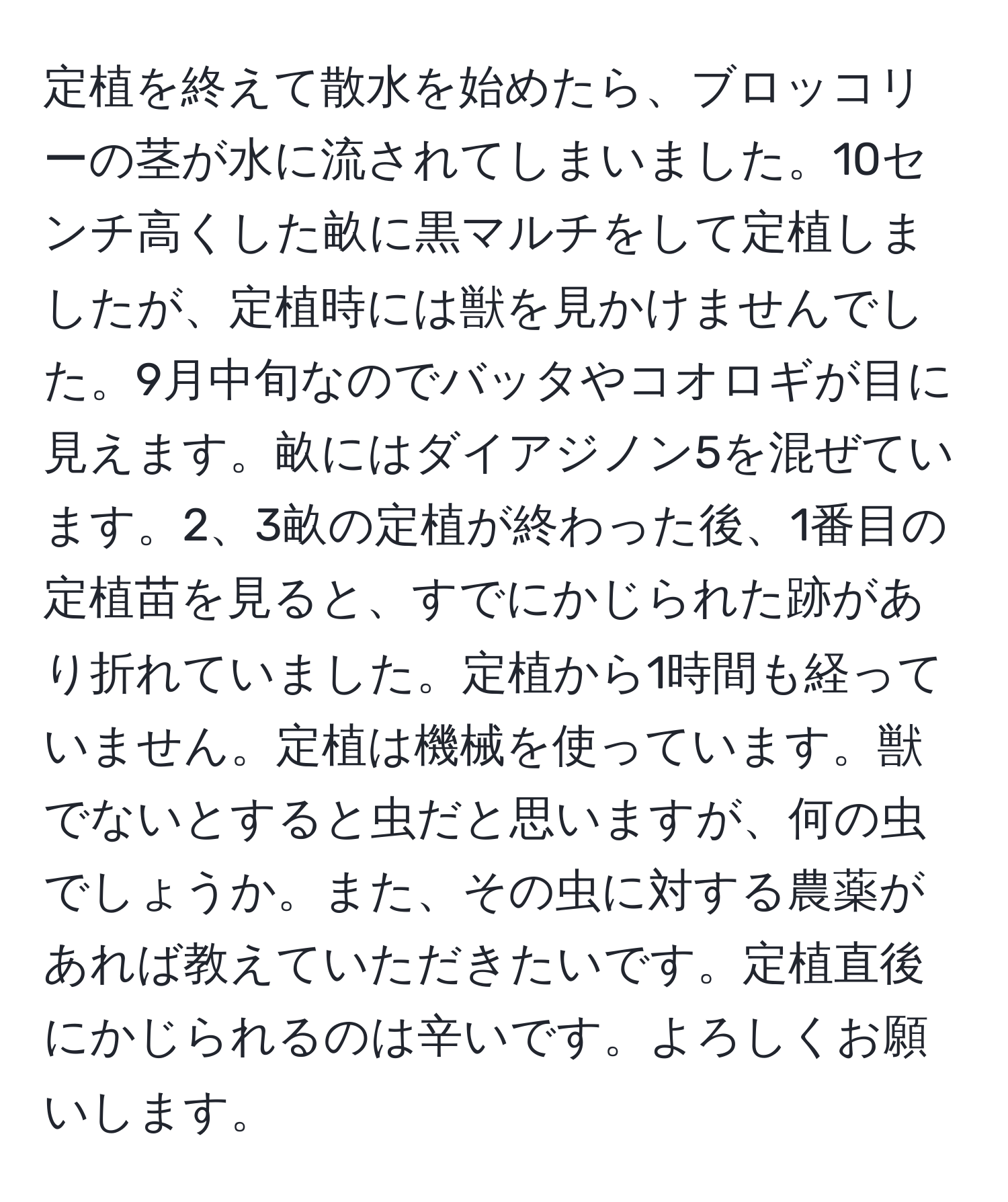 定植を終えて散水を始めたら、ブロッコリーの茎が水に流されてしまいました。10センチ高くした畝に黒マルチをして定植しましたが、定植時には獣を見かけませんでした。9月中旬なのでバッタやコオロギが目に見えます。畝にはダイアジノン5を混ぜています。2、3畝の定植が終わった後、1番目の定植苗を見ると、すでにかじられた跡があり折れていました。定植から1時間も経っていません。定植は機械を使っています。獣でないとすると虫だと思いますが、何の虫でしょうか。また、その虫に対する農薬があれば教えていただきたいです。定植直後にかじられるのは辛いです。よろしくお願いします。