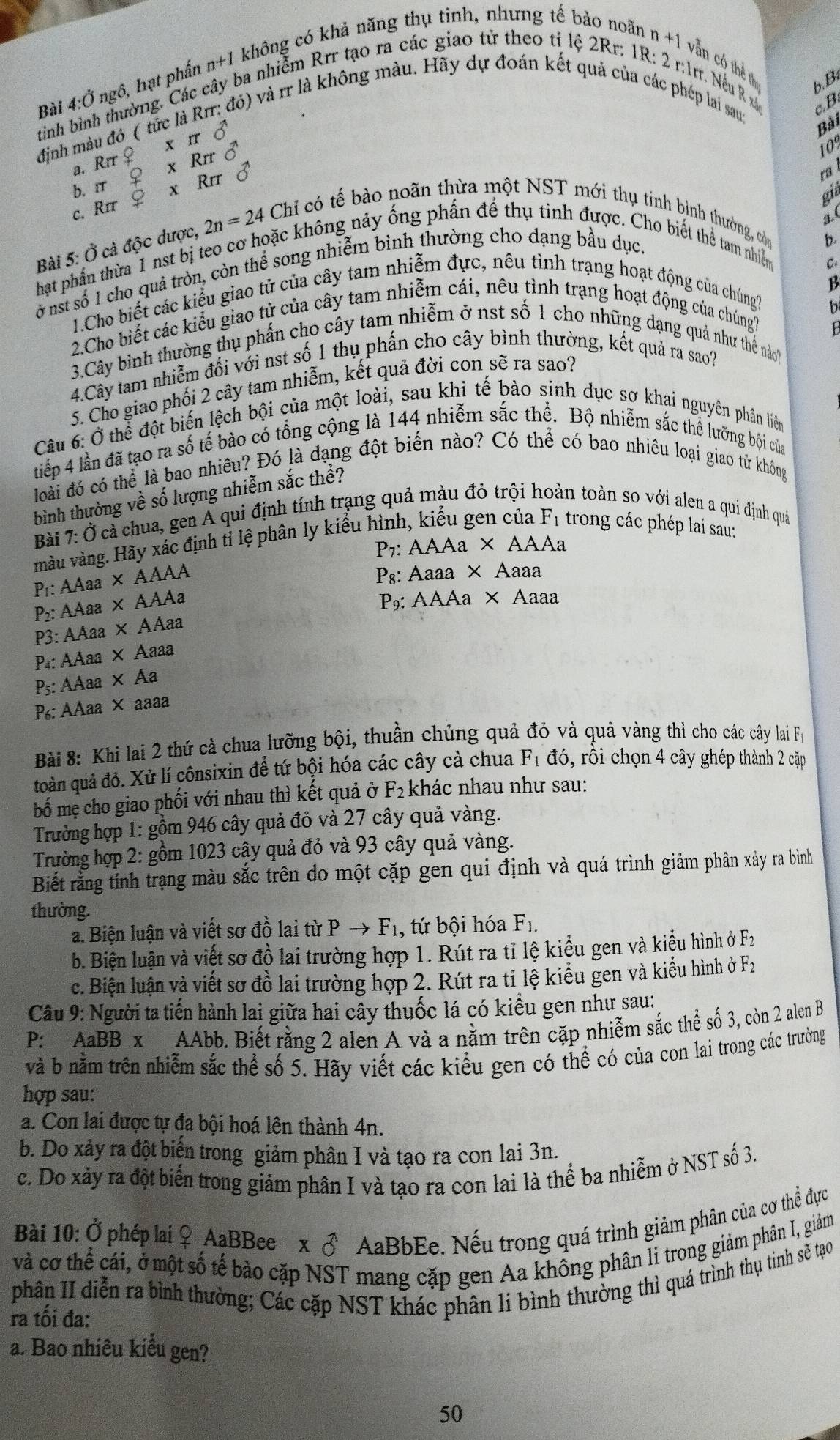 không có khả năng thụ tinh, nhưng tế bào noãn
tình bình thường. Các cây ba nhiễm Rrr tạo ra các giao tử theo ti le
n+1 vẫn có thể t
b. B
Bài 4:Ở ngô, hạt phần n+1
2Rr:1R:2 r:1rr. Nếu R x c.B.
Rn
v6) và rr là không màu. Hãy dự đoán kết quả của các phép lai sau:
định màu đỏ ( xπ 3
Bài
Rrr Q* Rn widehat O
10°
b. IT _ Q xRrt vector o
ς Rπ
gia
a
Bài 5: Ở cả độc dược, 2n=24 Chỉ có tế bào noãn thừa một NST mới thụ tinh bình thường, còn
ở nst số 1 cho quả tròn, còn thể song nhiễm bình thường cho dạng bầu dục.
b.
hạat phần thừa 1 nst bị teo cơ hoặc không nảy ống phần để thụ tinh được. Cho biết thể tam nhiêm
B
1.Cho biết các kiểu giao tử của cây tam nhiễm đực, nêu tình trạng hoạt động của chúng? C.
b
2.Cho biết các kiểu giao tử của cây tam nhiễm cái, nêu tình trạng hoạt động của chúng?
3.Cây bình thường thụ phần cho cây tam nhiễm ở nst số 1 cho những dạng quả như thể nào?
4.Cây tam nhiễm đối với nst số 1 thụ phần cho cây bình thường, kết quả ra sao? 1
5. Cho giao phối 2 cây tam nhiễm, kết quả đời con sẽ ra sao?
Câu 6: Ở thể đột biến lệch bội của một loài, sau khi tế bào sinh dục sơ khai nguyên phân liêm
tiếp 4 lần đã tạo ra số tế bào có tổng cộng là 144 nhiễm sắc thể. Bộ nhiễm sắc thể lưỡng bội của
loài đó có thể là bao nhiêu? Đó là dạng đột biến nào? Có thể có bao nhiêu loại giao tử không
bình thường về số lượng nhiễm sắc thể?
Bài 7: Ở cả chua, gen A qui định tính trạng quả màu đỏ trội 1 an toàn so với alen a qui định quả
màu vàng. Hãy xác định tỉ lệ phân ly kiểu hình, kiểu gen của F_1 trong các phép lai sau:
P_7:AAAa* AAAa
P_1:AAaa* AAAA
P_8: Aaaa* Aaaa
P_2:AAaa* AAAa
P_9: AAAa* Aaaa
P3:AAaa* AAaa
P_4:AAaa* Aaaa
P_5:AAaa* Aa
P_6:AAaa* aaaa
Bài 8: Khi lai 2 thứ cà chua lưỡng bội, thuần chủng quả đó và quả vàng thì cho các cây lai Fy
toàn quả đỏ. Xử lí cônsixin để tứ bội hóa các cây cà chua F_1d'O , rồi chọn 4 cây ghép thành 2 cặp
bố mẹ cho giao phối với nhau thì kết quả ở F_2 khác nhau như sau:
Trường hợp 1: gồm 946 cây quả đỏ và 27 cây quả vàng.
Trường hợp 2: gồm 1023 cây quả đỏ và 93 cây quả vàng.
Biết rằng tính trạng màu sắc trên do một cặp gen qui định và quá trình giảm phân xảy ra bình
thường.
a. Biện luận và viết sơ đồ lai từ Pto F_1 , tứ bội hóa F_1.
b. Biện luận và viết sơ đồ lai trường hợp 1. Rút ra tỉ lệ kiểu gen và kiểu hình ở F2
c. Biện luận và viết sơ đồ lai trường hợp 2. Rút ra tỉ lệ kiểu gen và kiểu hình ở F_2
Câu 9: Người ta tiến hành lai giữa hai cây thuốc lá có kiều gen như sau:
P: AaBB x AAbb. Biết rằng 2 alen A và a nằm trên cặp nhiễm sắc thể số 3, còn 2 alen B
và b nằm trên nhiễm sắc thể số 5. Hãy viết các kiểu gen có thể có của con lai trong các trường
hợp sau:
a. Con lai được tự đa bội hoá lên thành 4n.
b. Do xảy ra đột biến trong giảm phân I và tạo ra con lai 3n.
c. Do xảy ra đột biến trong giảm phân I và tạo ra con lai là thể ba nhiễm ở NST số 3.
Bài 10: Ở phép lai ♀ AaBBee xwidehat o AaBbEe. Nếu trong quá trình giảm phân của cơ thể đực
và cơ thể cái, ở một số tế bào cặp NST mang cặp gen Aa không phân li trong giảm phân I, giảm
phân II diễn ra bình thường; Các cặp NST khác phân li bình thường thì quá trình thụ tinh sẽ tạo
ra tối đa:
a. Bao nhiêu kiêu gen?
50