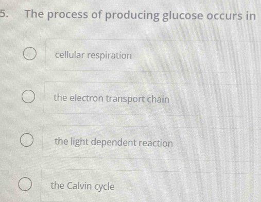 The process of producing glucose occurs in
cellular respiration
the electron transport chain
the light dependent reaction
the Calvin cycle