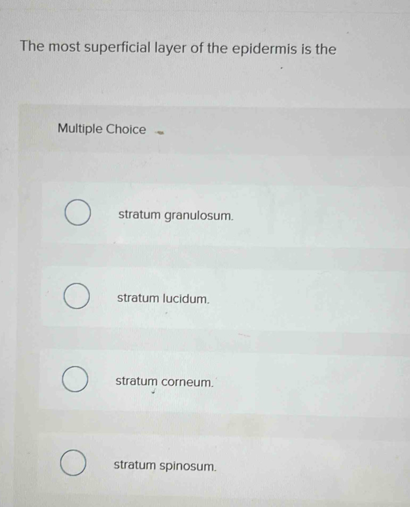 The most superficial layer of the epidermis is the
Multiple Choice
stratum granulosum.
stratum lucidum.
stratum corneum.
stratum spinosum.