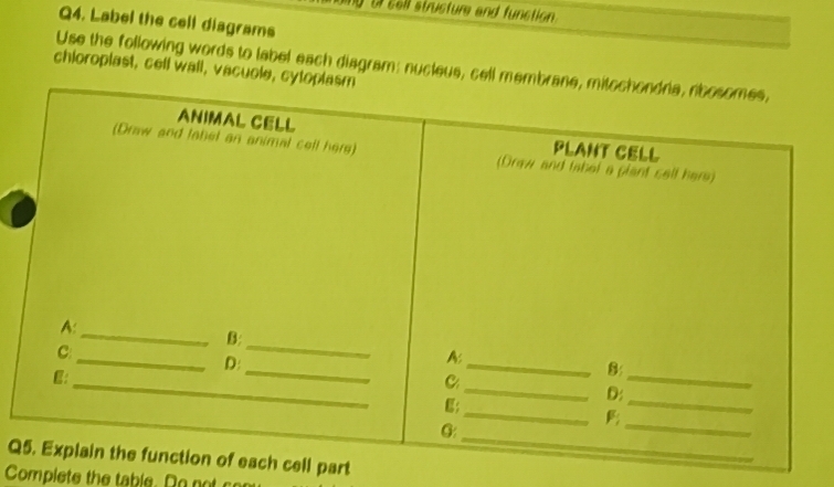 Solved: sell structure and function . Q4. Label the cell diagrams Use ...