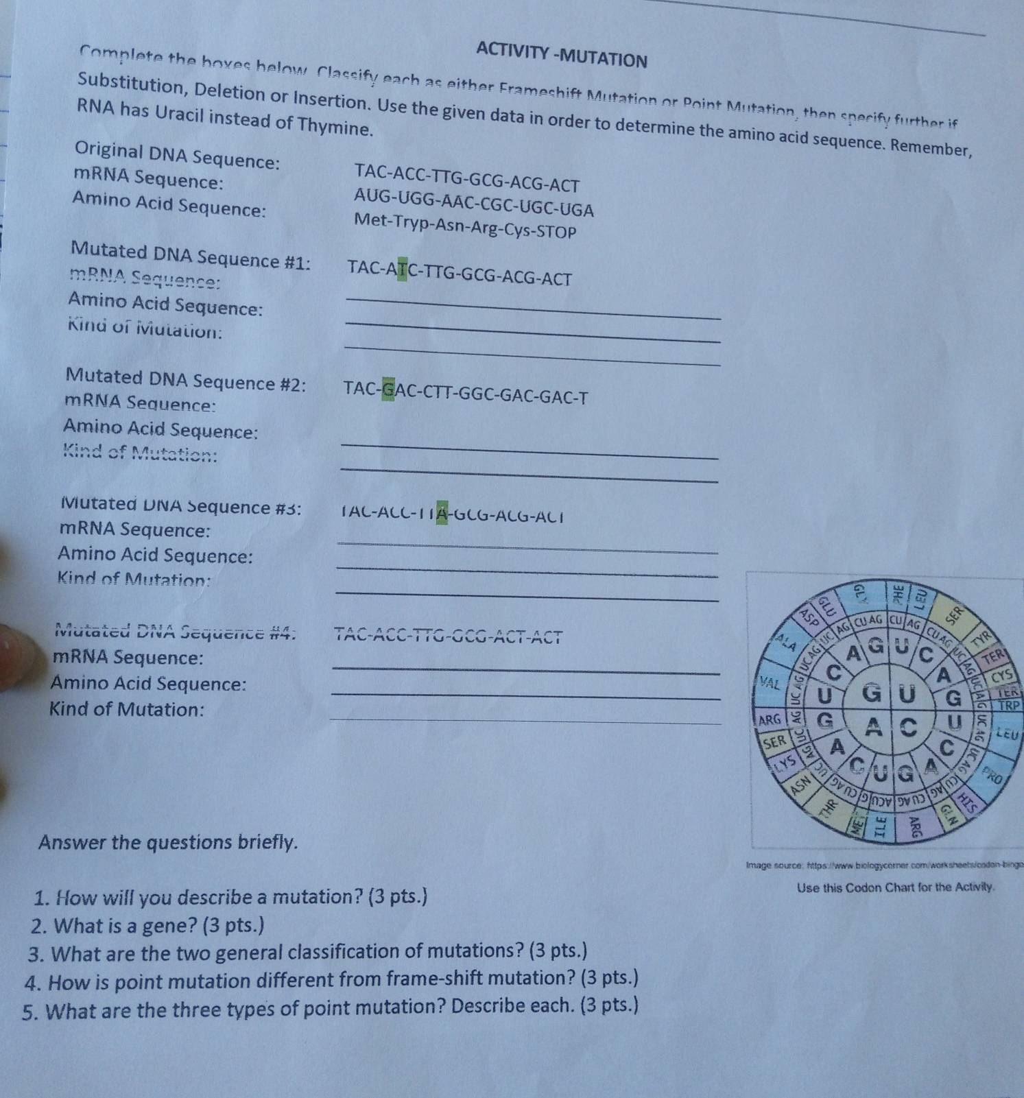 ACTIVITY -MUTATION 
Complete the boxes below, Classify each as either Frameshift Mutation or Point Mutation, then specify further if 
Substitution, Deletion or Insertion. Use the given data in order to determine the amino acid sequence. Remember, 
RNA has Uracil instead of Thymine. 
Original DNA Sequence: TAC-ACC-TTG-GCG-ACG-ACT 
mRNA Sequence: AUG-UGG-AAC-CGC-UGC-UGA 
Amino Acid Sequence: Met-Tryp-Asn-Arg-Cys-STOP 
Mutated DNA Sequence #1: TAC-ATC-TTG-GCG-ACG-ACT 
mRNA Sequence: 
Amino Acid Sequence:_ 
_ 
Kind of Mutation:_ 
Mutated DNA Sequence #2: TAC-GAC -CTT-GGC-GAC-GAC-T 
mRNA Sequence: 
_ 
Amino Acid Sequence: 
_ 
Kind of Mutation: 
Mutated DNA Sequence #3: 1AC-ACC-11A (-GC_7-A)(neg -A C 
mRNA Sequence: 
_ 
Amino Acid Sequence: 
_ 
_ 
Kind of Mutation: 
Mutated DNA Sequence #4: TAC-ACC-TTG-GCG-ACT-ACT 
mRNA Sequence: _ 
S 
Amino Acid Sequence: _TE 
TRP 
Kind of Mutation: _LEU 
Answer the questions briefly. 
Image source: https://www.biologycorner.com/worksheets/caden-bingo 
1. How will you describe a mutation? (3 pts.) 
Use this Codon Chart for the Activity. 
2. What is a gene? (3 pts.) 
3. What are the two general classification of mutations? (3 pts.) 
4. How is point mutation different from frame-shift mutation? (3 pts.) 
5. What are the three types of point mutation? Describe each. (3 pts.)