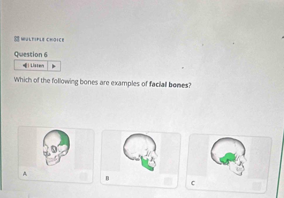 Listen 
Which of the following bones are examples of facial bones? 
A 
B 
C