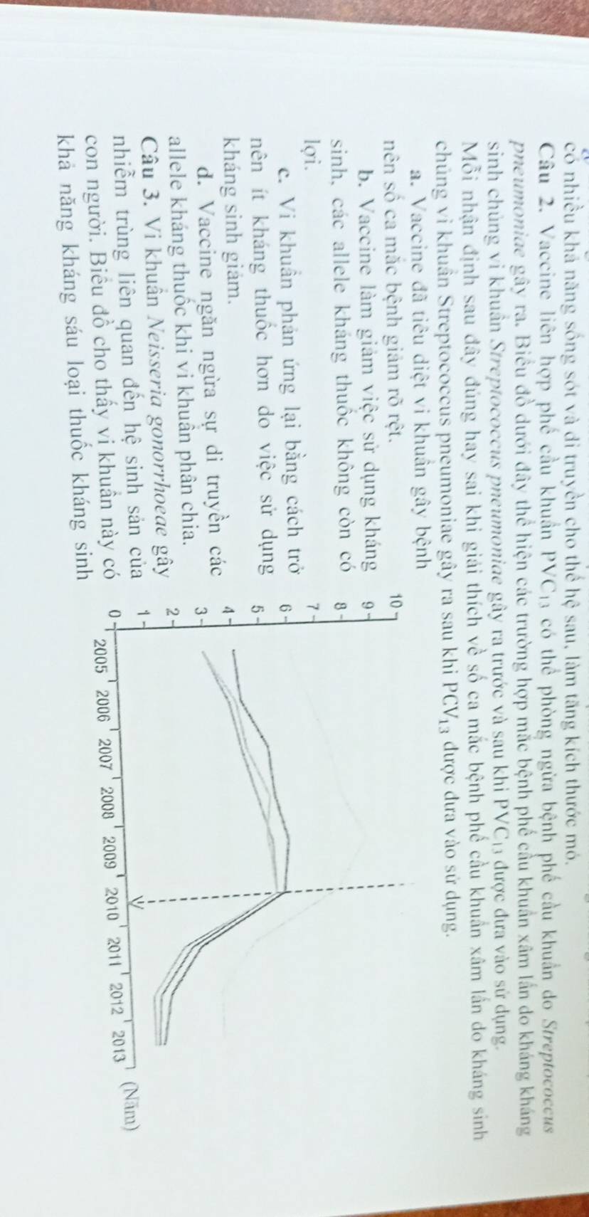 có nhiều khả năng sống sót và di truyền cho thể hệ sau, làm tăng kích thước mó.
Câu 2. Vaccine liên hợp phố cầu khuẩn PVC_1 a có thể phòng ngừa bệnh phế cầu khuẩn do Streptococcus
pneumoniae gây ra. Biểu đồ dưới đây thể hiện các trường hợp mắc bệnh phế cầu khuẩn xâm lần do kháng kháng
sinh chủng vi khuân Streptococcus pneumoniae gây ra trước và sau khi PVC|3 được đựa vào sử dụng.
Mỗi nhận định sau đây đúng hay sai khi giải thích về số ca mắc bệnh phố cầu khuẩn xâm lần do kháng sinh
chúng vi khuân Streptococcus pneumoniae gây ra sau khi PCV_13 được đưa vào sử dụng.
a. Vaccine đã tiêu diệt vi khuân gây bện
nên số ca mắc bệnh giảm rõ rệt.
b. Vaccine làm giảm việc sử dụng khán
sinh, các allele kháng thuốc không còn c
lợi.
c. Vi khuẩn phản ứng lại bằng cách t
nên ít kháng thuốc hơn do việc sử dụn
kháng sinh giám.
d. Vaccine ngăn ngừa sự di truyền c
allele kháng thuốc khi vi khuân phân chia.
Câu 3. Vi khuân Neisseria gonorrhoeae g
nhiễm trùng liên quan đến hệ sinh sản c
con người. Biểu đồ cho thấy vi khuần này 
khả năng kháng sáu loại thuốc kháng sinh