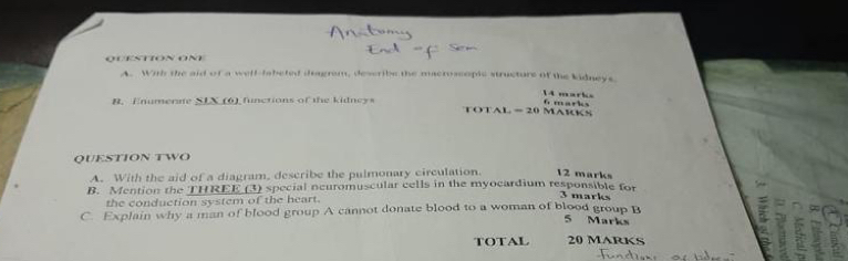 QUESTION ON 
A. With the aid of a well-fabeted deagrem, describe the macroscopic structure of the kidneys 
14 marks fmar k s 
B. Enumenate SLX (6) functions of the kidneys TOTAL = 20 MARKS 
QUESTION TWO 
A. With the aid of a diagram, describe the pulmonary circulation. 12 marks 
B. Mention the THREE (3) special neuromuscular cells in the myocardium responsible for 3 marks 
the conduction system of the heart. 
C. Explain why a man of blood group A cannot donate blood to a woman of blood group B 
5 Marks 
TOTAL 20 MARKS