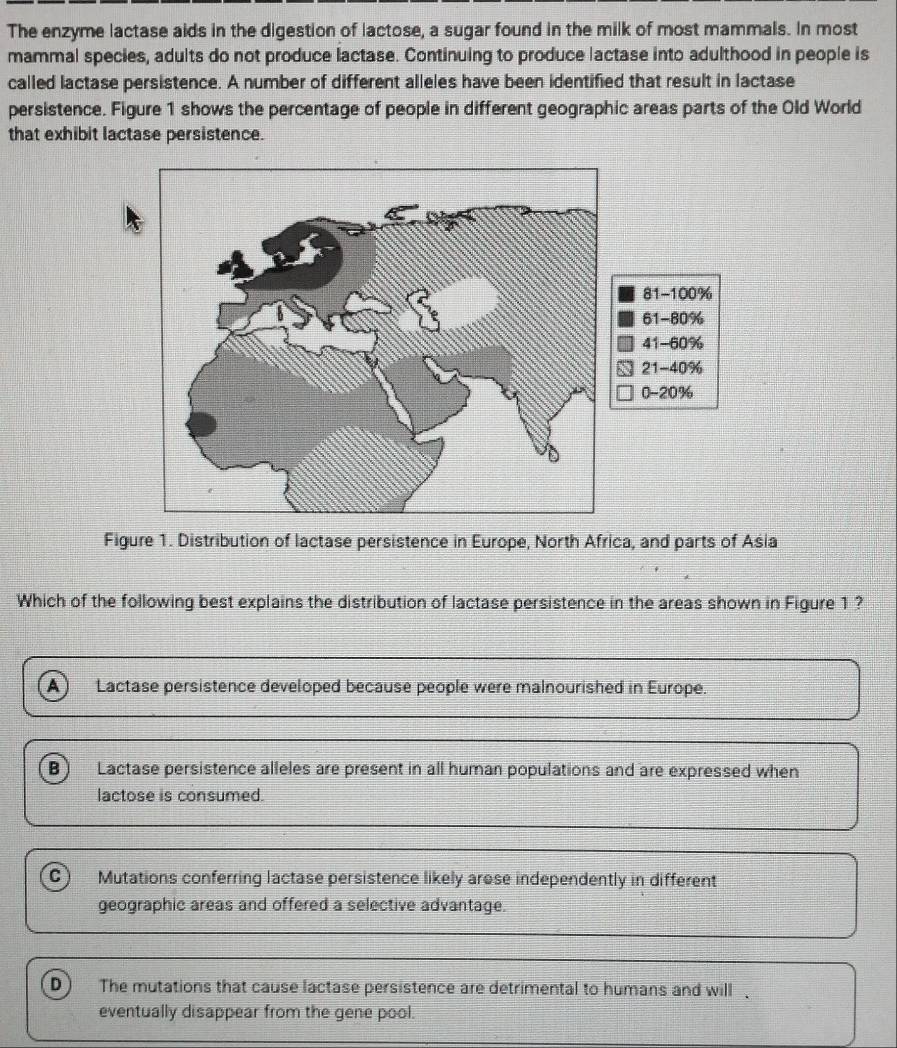 The enzyme lactase aids in the digestion of lactose, a sugar found in the milk of most mammals. In most
mammal species, adults do not produce lactase. Continuing to produce lactase into adulthood in people is
called lactase persistence. A number of different alleles have been identified that result in lactase
persistence. Figure 1 shows the percentage of people in different geographic areas parts of the Old World
that exhibit lactase persistence.
81-100%
61-80%
41-60%
21-40%
0-20%
Figure 1. Distribution of lactase persistence in Europe, North Africa, and parts of Asia
Which of the following best explains the distribution of lactase persistence in the areas shown in Figure 1 ?
A Lactase persistence developed because people were malnourished in Europe.
B Lactase persistence alleles are present in all human populations and are expressed when
lactose is consumed.
C Mutations conferring lactase persistence likely arose independently in different
geographic areas and offered a selective advantage.
D The mutations that cause lactase persistence are detrimental to humans and will .
eventually disappear from the gene pool.