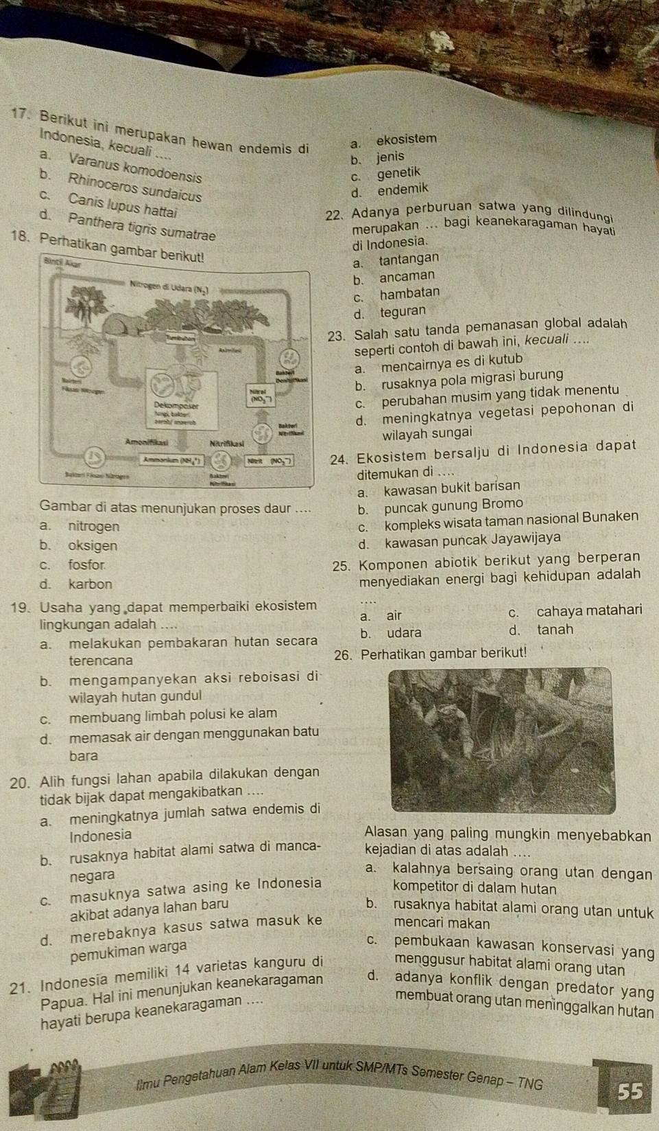 Berikut ini merupakan hewan endemis di a. ekosistem
Indonesia, kecuali
b. jenis
a. Varanus komodoensis
c. genetik
b. Rhinoceros sundaicus
d. endemik
c. Canis lupus hattai
22. Adanya perburuan satwa yang dilindung
d. Panthera tigris sumatrae
merupakan ... bagi keanekaragaman hayati
di Indonesia.
18. Perhatikan gambar berikut!
a. tantangan
b. ancaman
c. hambatan
d. teguran
23. Salah satu tanda pemanasan global adalah
seperti contoh di bawah ini, kecuali ....
a. mencairnya es di kutub
b. rusaknya pola migrasi burung
c. perubahan musim yang tidak menentu
d. meningkatnya vegetasi pepohonan di
wilayah sungai
24. Ekosistem bersalju di Indonesia dapat
ditemukan di ....
a. kawasan bukit barisan
Gambar di atas menunjukan proses daur .... b. puncak gunung Bromo
a. nitrogen
c. kompleks wisata taman nasional Bunaken
b、 oksigen
d. kawasan puncak Jayawijaya
c. fosfor. 25. Komponen abiotik berikut yang berperan
d. karbon
menyediakan energi bagi kehidupan adalah
19. Usaha yang dapat memperbaiki ekosistem
a. air
lingkungan adalah c. cahaya matahari
b. udara d、 tanah
a. melakukan pembakaran hutan secara
terencana 26. Perhatikan gambar berikut!
b. mengampanyekan aksi reboisasi di
wilayah hutan gundul
c. membuang limbah polusi ke alam
d. memasak air dengan menggunakan batu
bara
20. Alih fungsi lahan apabila dilakukan dengan
tidak bijak dapat mengakibatkan .
a. meningkatnya jumlah satwa endemis di
Indonesia
Alasan yang paling mungkin menyebabkan
b. rusaknya habitat alami satwa di manca- kejadian di atas adalah ....
negara
a. kalahnya bersaing orang utan dengan
c. masuknya satwa asing ke Indonesia kompetitor di dalam hutan
akibat adanya lahan baru b. rusaknya habitat alami orang utan untuk
d. merebaknya kasus satwa masuk ke
mencarì makan
pemukiman warga
c. pembukaan kawasan konservasi yang
21. Indonesia memiliki 14 varietas kanguru di
menggusur habitat alami orang utan
Papua. Hal ini menunjukan keanekaragaman d. adanya konflik dengan predator yang
hayati berupa keanekaragaman ....
membuat orang utan meninggalkan hutan
llmu Pengetahuan Alam Kelas VII untuk SMP/MTs Semester Genap - TNG