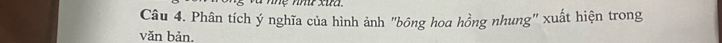 Phân tích ý nghĩa của hình ảnh "bông hoa hồng nhung" xuất hiện trong 
văn bản.