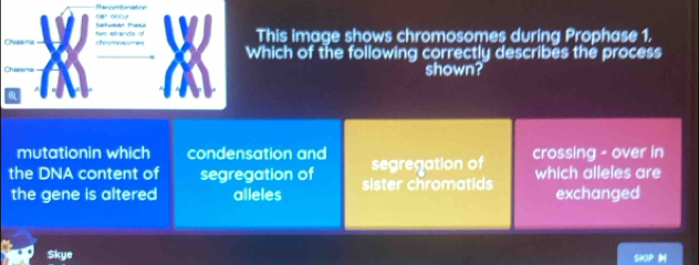 Rerrerenece
This image shows chromosomes during Prophase 1.
chi so w Which of the following correctly describes the process
shown?
mutationin which condensation and
the DNA content of segregation of sister chromatids segregation of crossing - over in which alleles are
the gene is altered alleles exchanged
Skye SKIP