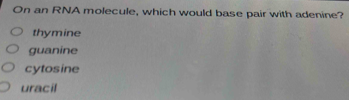 On an RNA molecule, which would base pair with adenine?
thymine
guanine
cytosine
uracil