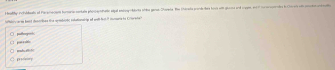 Healthy individuals of Paramecium bursaria contain photosynthetic algal endosymbionts of the genus Chlorella. The Chlorelia provide their hosts with glucose and oxygen, and P bursana provides its Chiorelia with protection and moutilty
Which term best describes the symbiotic relationship of well-fed P bursaria to Chiorella?
pathogenic
parasitic
mutualistic
predatory