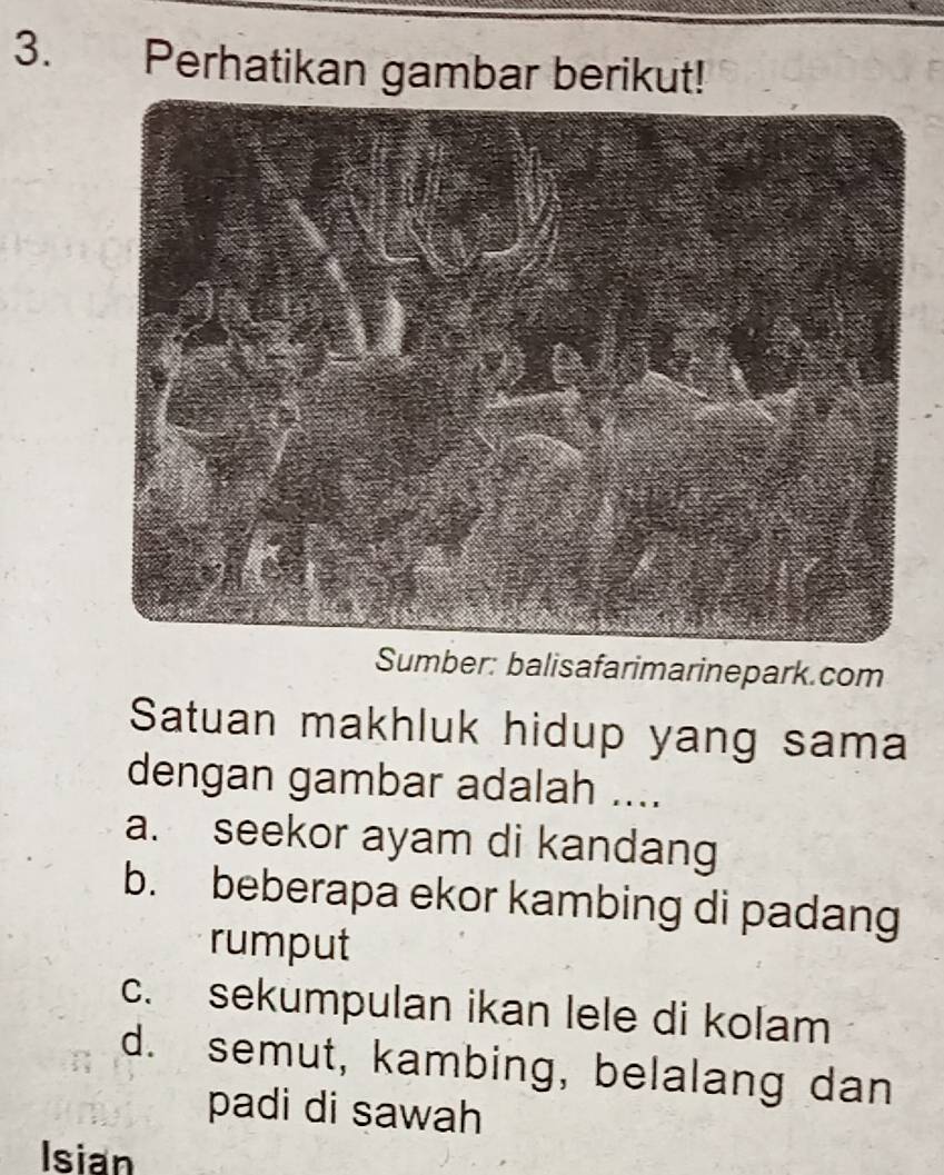 Perhatikan gambar berikut!
Sumber: balisafarimarinepark.com
Satuan makhluk hidup yang sama
dengan gambar adalah ....
a. seekor ayam di kandang
b. beberapa ekor kambing di padang
rumput
c. sekumpulan ikan lele di kolam
d. semut, kambing, belalang dan
padi di sawah
Isian