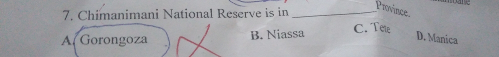 Chimanimani National Reserve is in_
Province.
A. Gorongoza B. Niassa C. Tete
D. Manica