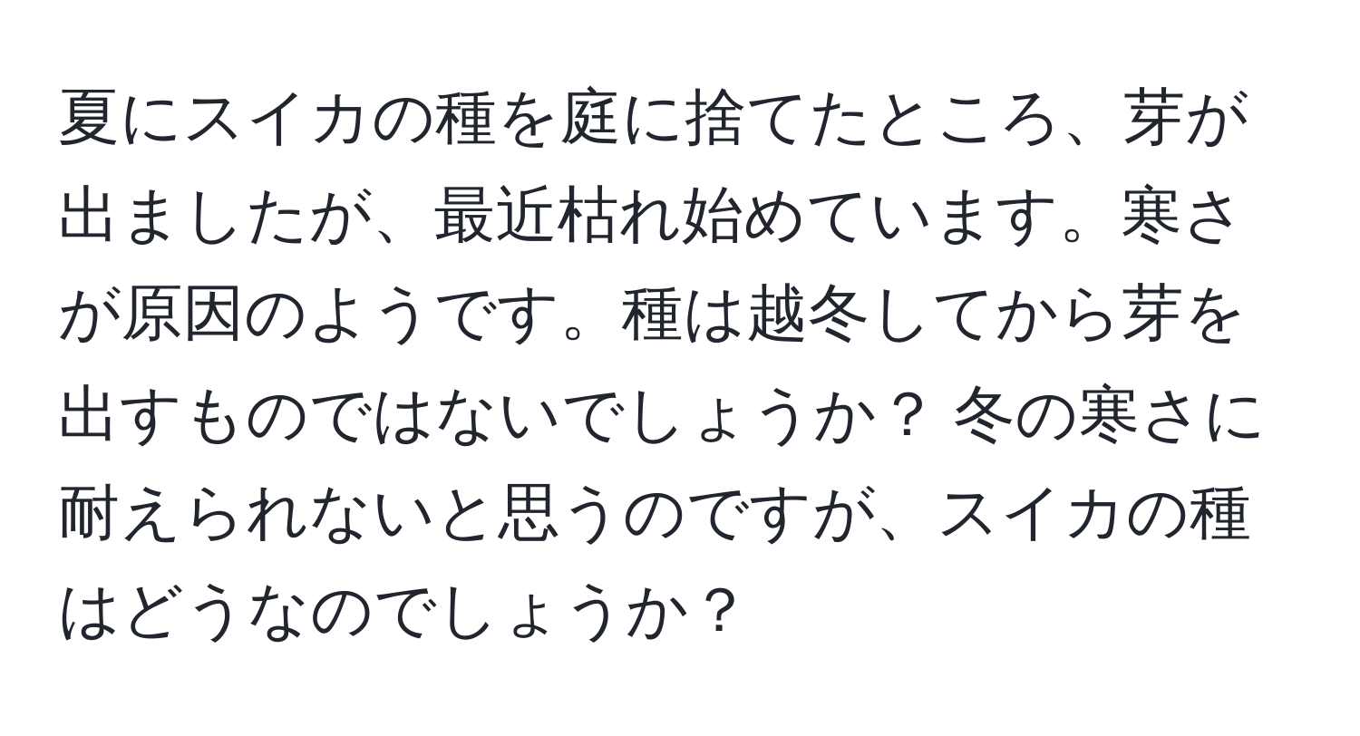 夏にスイカの種を庭に捨てたところ、芽が出ましたが、最近枯れ始めています。寒さが原因のようです。種は越冬してから芽を出すものではないでしょうか？ 冬の寒さに耐えられないと思うのですが、スイカの種はどうなのでしょうか？