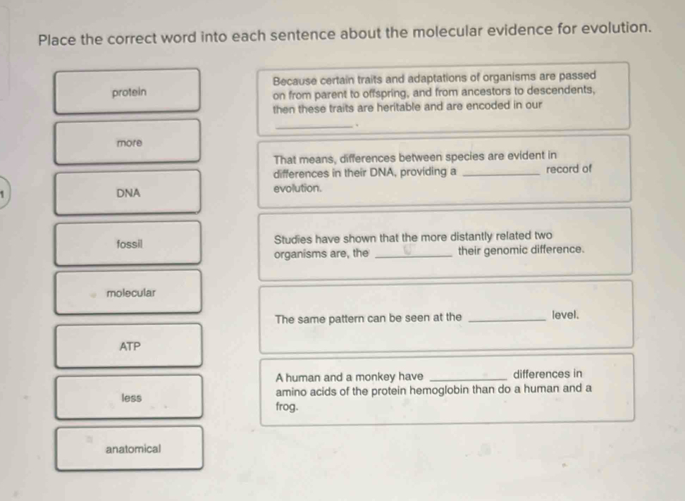 Solved: Place the correct word into each sentence about the molecular ...