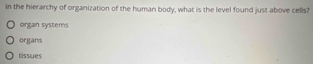 In the hierarchy of organization of the human body, what is the level found just above cells?
organ systems
organs
tissues