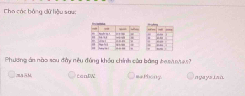 Cho các bảng dữ liệu sau:
Phương án nào sau đây nêu đúng khóa chính của bảng benhnhan?
maBN. tenBN. ma Phong. ngaysinh.