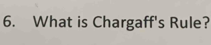 What is Chargaff's Rule?