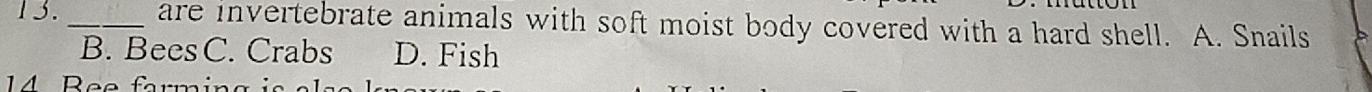 are invertebrate animals with soft moist body covered with a hard shell. A. Snails
B. BeesC. Crabs D. Fish
14 R e e far mi