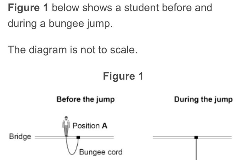 Figure 1 below shows a student before and 
during a bungee jump. 
The diagram is not to scale. 
Figure 1 
Before the jump During the jump 
Position A 
Bridge 
Bungee cord