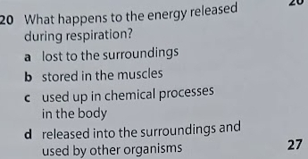 What happens to the energy released 20
during respiration?
a lost to the surroundings
b stored in the muscles
coused up in chemical processes
in the body
d released into the surroundings and
used by other organisms
27