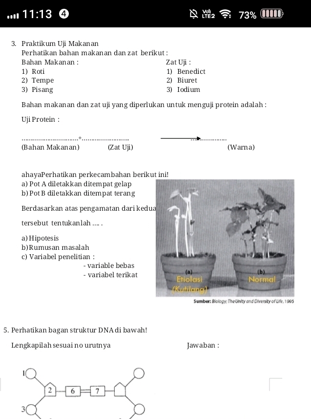 ... 11:13 ④ 73%
3. Praktikum Uji Makanan 
Perhatikan bahan makanan dan zat berikut : 
Bahan Makanan : Zat Uji : 
1) Roti 1) Benedict 
2) Tempe 2) Biuret 
3) Pisang 3) Iodium 
Bahan makanan dan zat uji yang diperlukan untuk menguji protein adalah : 
Uji Protein : 
__+ 
(Bahan Makanan) (Zat Uji) (Warna) 
ahayaPerhatikan perkecambahan berikut ini! 
a) Pot A diletakkan ditempat gelap 
b)PotB diletakkan ditempat terang 
Berdasarkan atas pengamatan dariked 
tersebut tentukan1ah... . 
a) Hipotesis 
b)Rumusan masalah 
c) Variabel penelitian : 
- variable bebas 
- variabel terikat 
Sumber: Biology; The Unity and Diversity of Life, 1 995
5. Perhatikan bagan struktur DNA di bawah! 
Lengkapilah sesuai no urutnya Jawaban :