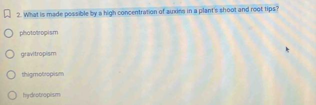 What is made possible by a high concentration of auxins in a plant's shoot and root tips?
phototropism
gravitropism
thigmotropism
hydrotropism