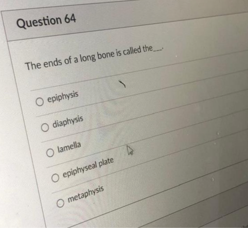 The ends of a long bone is called the _.
epiphysis
diaphysis
lamella
epiphyseal plate
metaphysis