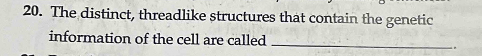 The distinct, threadlike structures that contain the genetic 
information of the cell are called_ 
.