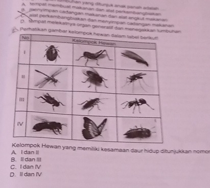 Wi5buhan yang ditunjuk anak pansh adatsh
A tempal membual makanan dan alat perkambangbiakan
B. paenyimpan cađangan makanan dan alst angkut makanan
C alat perkembangbiakan dan menympan cadangan makanan
D. tempat melekatnya organ generatif dan menean
Perhatik
yang memiliki kesamaan daur hidup ditunjukkan nomo
A l dan II
B. Il dan III
C. I dan IV
D. II dan IV