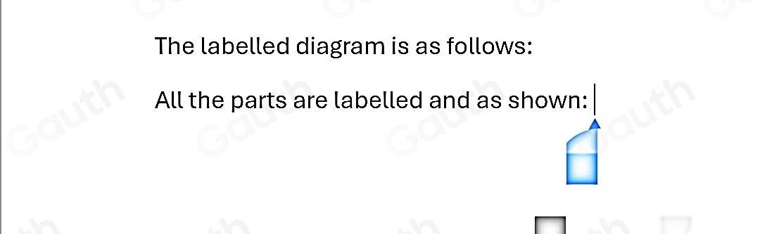 The labelled diagram is as follows: 
All the parts are labelled and as shown: