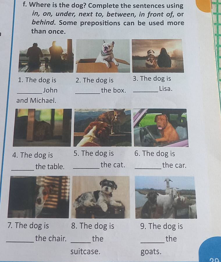 Where is the dog? Complete the sentences using 
in, on, under, next to, between, in front of, or 
behind. Some prepositions can be used more 
than once. 
1. The dog is 2. The dog is 3. The dog is 
_John _the box. _Lisa. 
and Michael. 
4. The dog is 5. The dog is 6. The dog is 
_ 
the table. _the cat. _the car. 
7. The dog is 8. The dog is 9. The dog is 
_the chair. _the _the 
suitcase. goats.