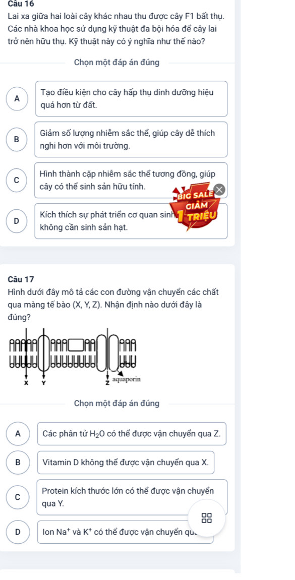 Lai xa giữa hai loài cây khác nhau thu được cây F1 bất thụ.
Các nhà khoa học sử dụng kỹ thuật đa bội hóa để cây lai
trở nên hữu thụ. Kỹ thuật này có ý nghĩa như thế nào?
Chọn một đáp án đúng
Tạo điều kiện cho cây hấp thụ dinh dưỡng hiệu
A
quả hơn từ đất.
Giảm số lượng nhiễm sắc thể, giúp cây dễ thích
B
nghi hơn với môi trường.
Hình thành cặp nhiễm sắc thể tương đồng, giúp
C
cây có thể sinh sản hữu tính.
ig sale X
gIảm
Kích thích sự phát triển cơ quan sinh
D riệu
không cần sinh sản hạt.
Câu 17
Hình dưới đây mô tả các con đường vận chuyển các chất
qua màng tế bào (X,Y,Z). Nhận định nào dưới đây là
đúng?
Chọn một đáp án đúng
A Các phân tử H_2O có thể được vận chuyển qua Z.
B Vitamin D không thể được vận chuyển qua X.
Protein kích thước lớn có thể được vận chuyển
C
qua Y.
□□
D Ion Na^+ và K^+ có thể được vận chuyển quả