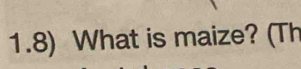1.8) What is maize? (Th