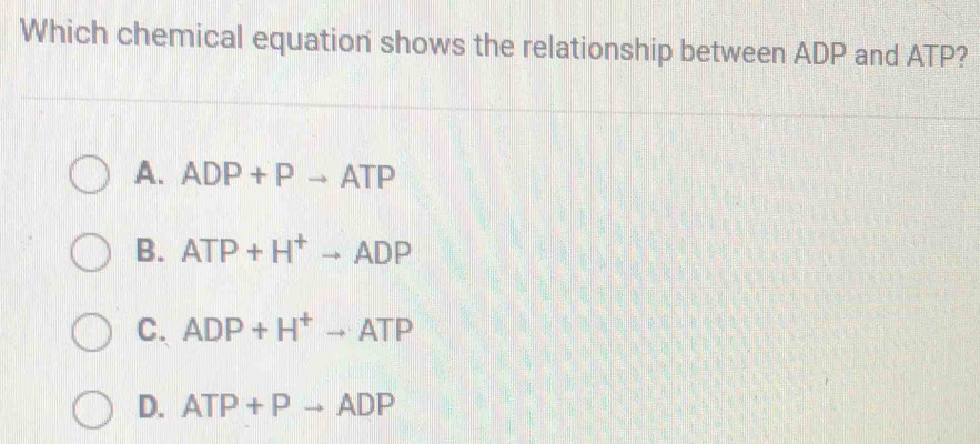 Which chemical equation shows the relationship between ADP and ATP?
A. ADP+Pto ATP
B. ATP+H^+to ADP
C. ADP+H^+to ATP
D. ATP+Pto ADP