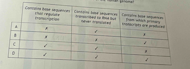 the numan genome?