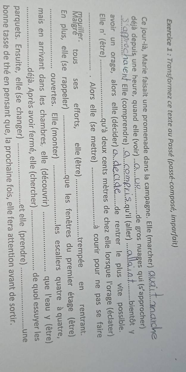 Transformez ce texte au Passé (passé-composé, imparfait) 
Ce jour-là, Marie faisait une promenade dans la campagne. Elle (marcher)_ 
déjà depuis une heure, quand elle (voir) _de gros nuages qui (s' approcher) 
1a Elle (comprendre) _.qu'il (aller) _bientôt y 
avoir un orage, alors elle (décider) _de rentrer le plus vite possible. 
Elle n' (être) _qu'à deux cents mètres de chez elle lorsque l'orage (éclater) 
_. Alors elle (se mettre) _àà courir pour ne pas se faire 
mouiller. 
Malgre '' tous ses efforts, elle (être) _trempée en rentrant. 
En plus, elle (se rappeler) _que les fenêtres du premier étage (être) 
_ouvertes. Elle (monter) _Lles escaliers quatre à quatre, 
mais en arrivant dans les chambres, elle (découvrir) _que l'eau y (être) 
_déjà. Après avoir fermé, elle (chercher) _de quoi essuyer les 
parquets. Ensuite, elle (se changer) _et elle (prendre)_ 
une 
bonne tasse de thé en pensant que, la prochaine fois, elle fera attention avant de sortir.