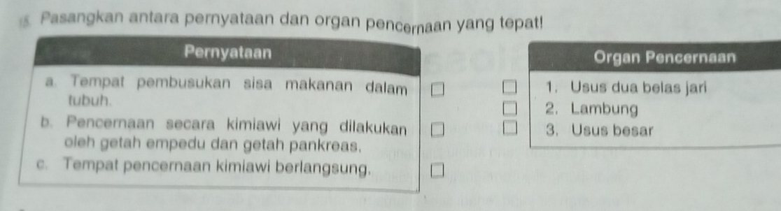 Pasangkan antara pernyataan dan organ pencernaan yang tepat! 
Organ Pencernaan 
1. Usus dua belas jari 
2. Lambung 
3. Usus besar