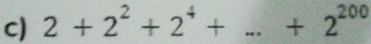 2+2^2+2^4+...+2^(200)