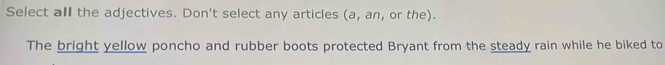 Select all the adjectives. Don't select any articles (a, an, or the). 
The bright yellow poncho and rubber boots protected Bryant from the steady rain while he biked to