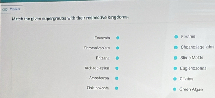 Protists 
Match the given supergroups with their respective kingdoms. 
Excavata Forams 
Chromalveolata Choanoflagellates 
Rhizaria Slime Molds 
Archaeplastida Euglenozoans 
Amoebozoa Ciliates 
Opisthokonta Green Algae