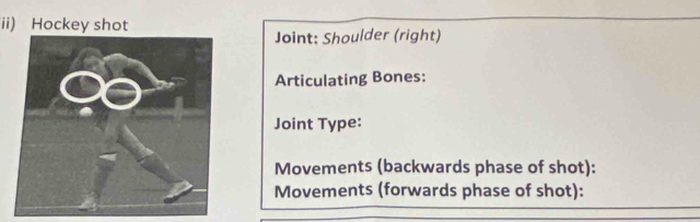 ii) Hockey shot 
Joint: Shoulder (right) 
Articulating Bones: 
Joint Type: 
Movements (backwards phase of shot): 
Movements (forwards phase of shot):