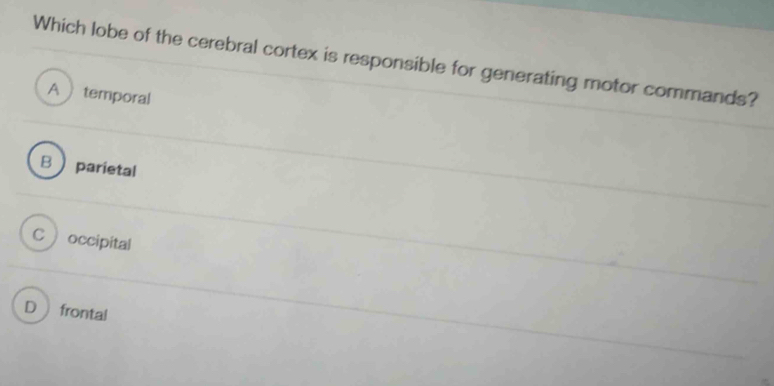 Which lobe of the cerebral cortex is responsible for generating motor commands?
A temporal
B  parietal
C  occipital
Dfrontal