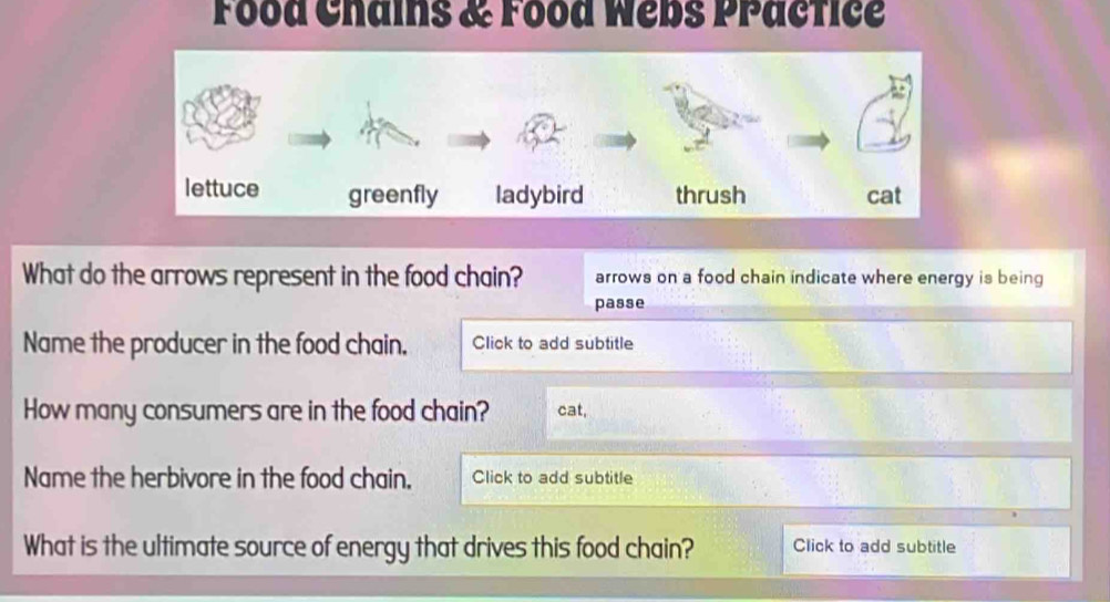 Food Chains & Food Webs Practice 
What do the arrows represent in the food chain? arrows on a food chain indicate where energy is being 
passe 
Name the producer in the food chain. Click to add subtitle 
How many consumers are in the food chain? cat, 
Name the herbivore in the food chain. Click to add subtitle 
What is the ultimate source of energy that drives this food chain? Click to add subtitle