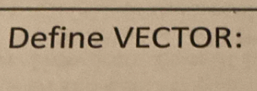 Define VECTOR: