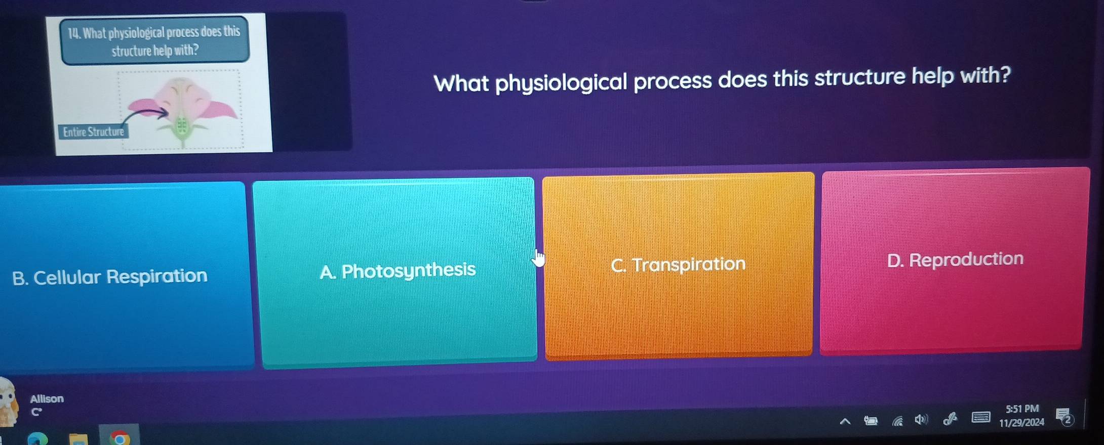 What physiological process does this
structure help with?
What physiological process does this structure help with?
Entire Structun
C. Transpiration
B. Cellular Respiration A. Photosynthesis D. Reproduction
Allison
5:51 PM
11/29/2024