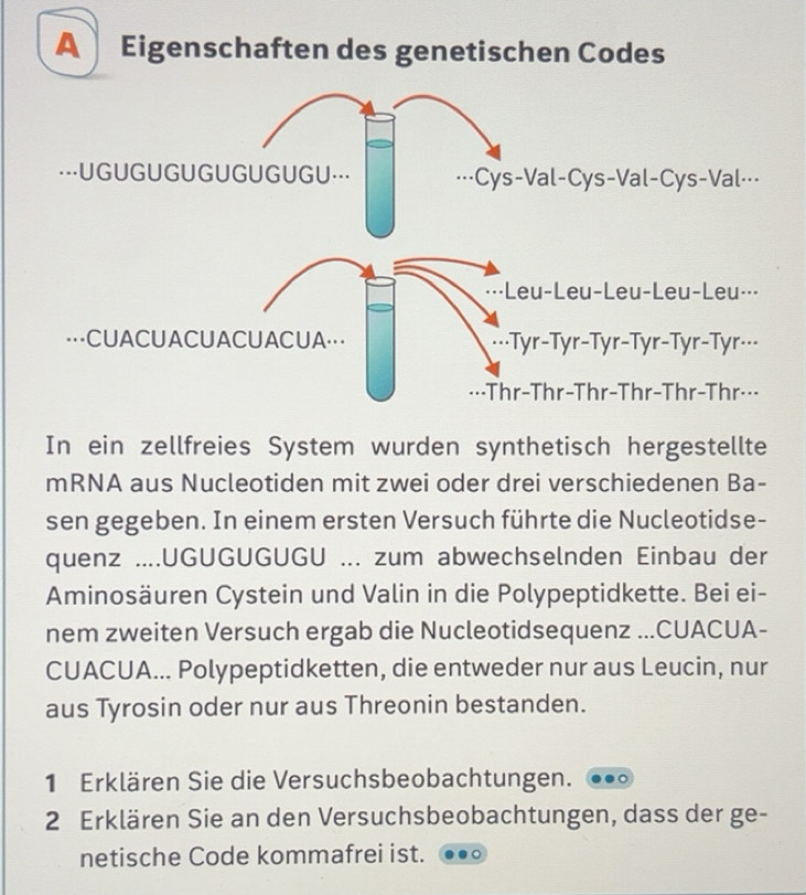 Gelöst:A Eigenschaften des genetischen Codes ·==UGUGUGUGUGUGUGU ...